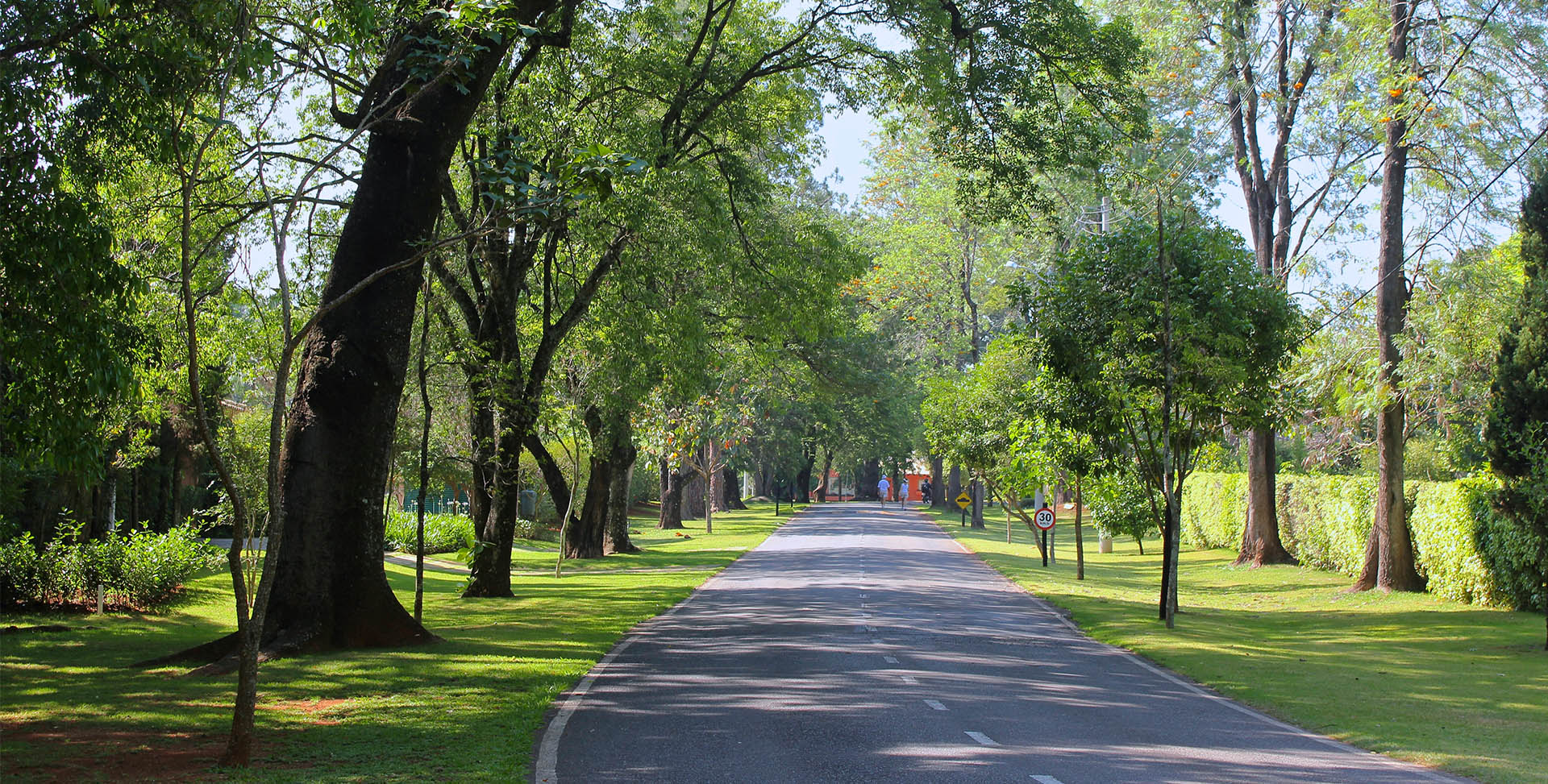 Alamedas e áreas verdes